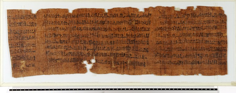 papirus Leiden